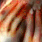 collage04.GIF